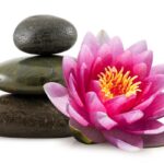Lotus Flower, New Befinnings and acupuncture