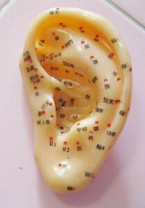 acupuncture points on the ear